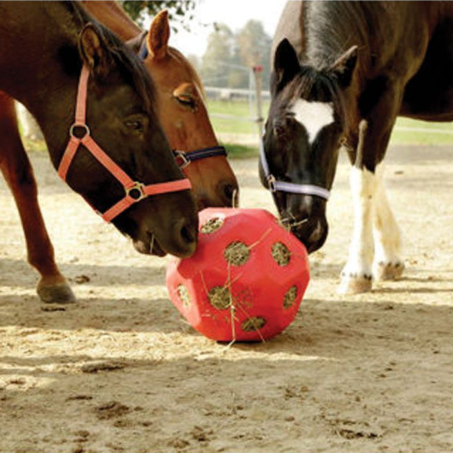 Hay Ball