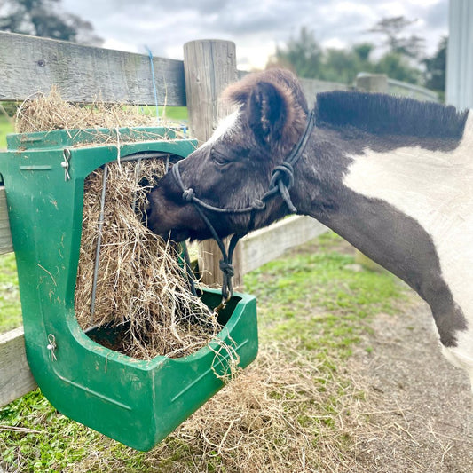 Fence Mounted Hay Feeder - Mini