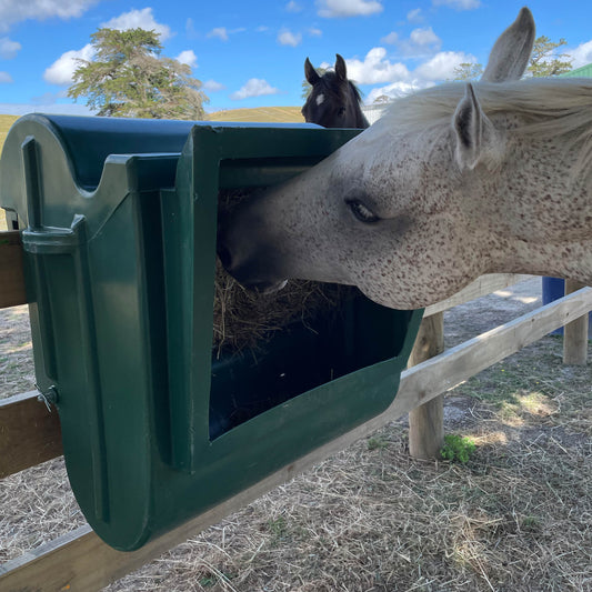 hay feeder nz, horse hay feeder nz, horse feeder, equine hay feeders, fence mounted hay feeder