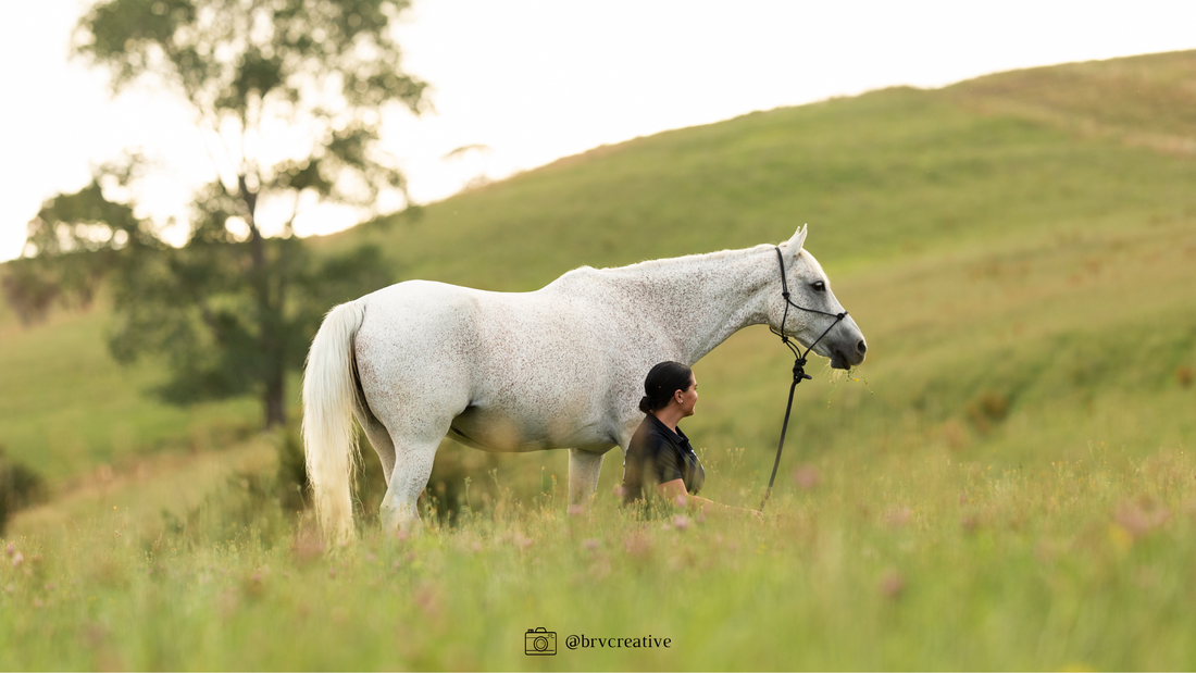 Our heart is with those who have lost or are missing horses due to Cyclone Gabby.