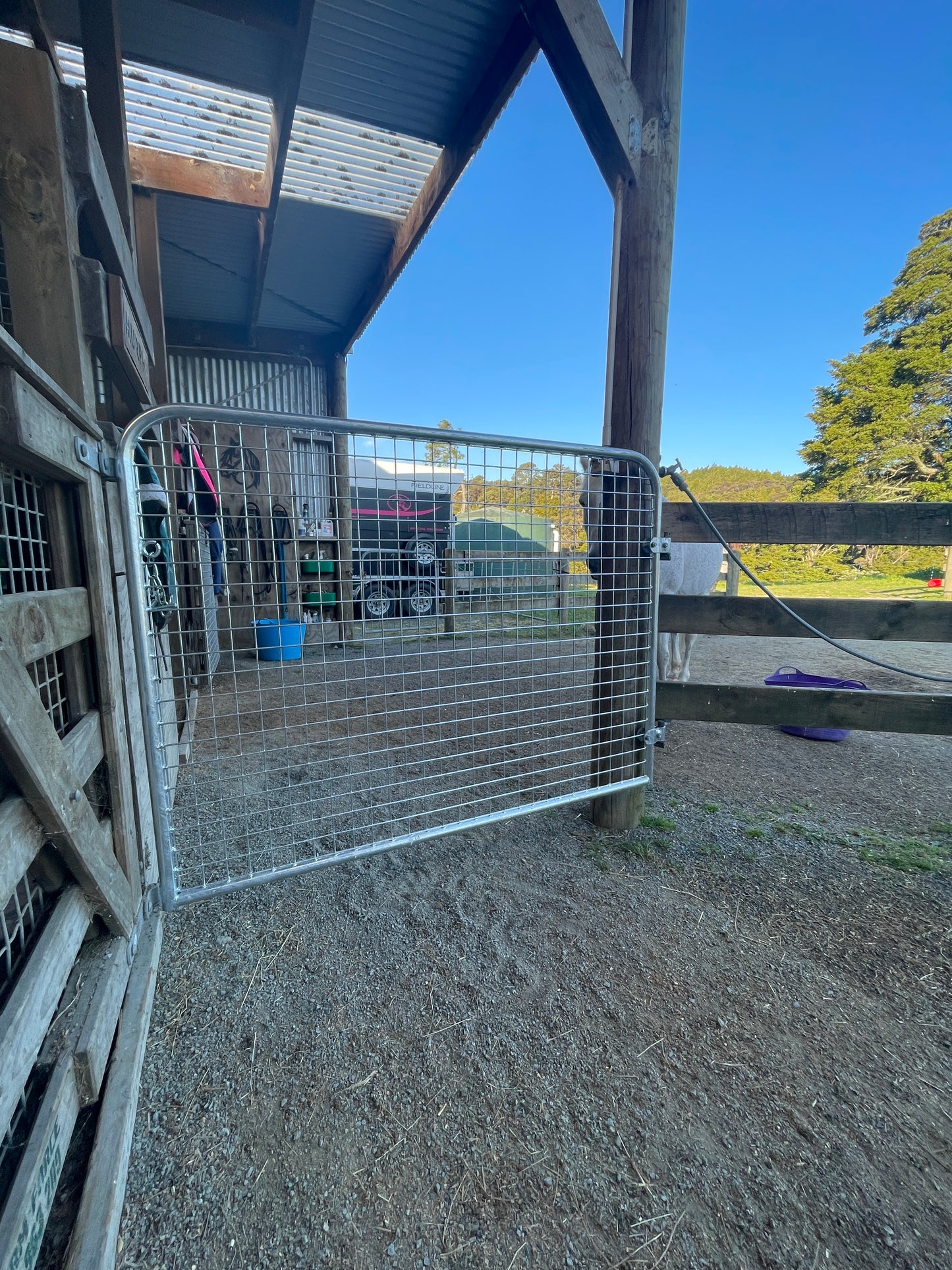 Welded Mesh Equine Gates (Pick-up or Delivery)