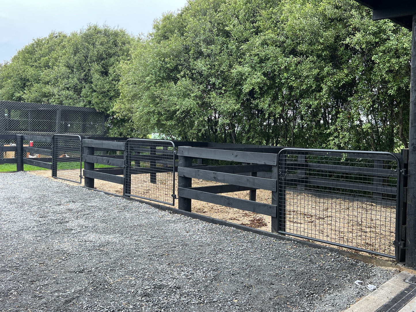 Welded Mesh Equine Gates (Pick-up or Delivery)