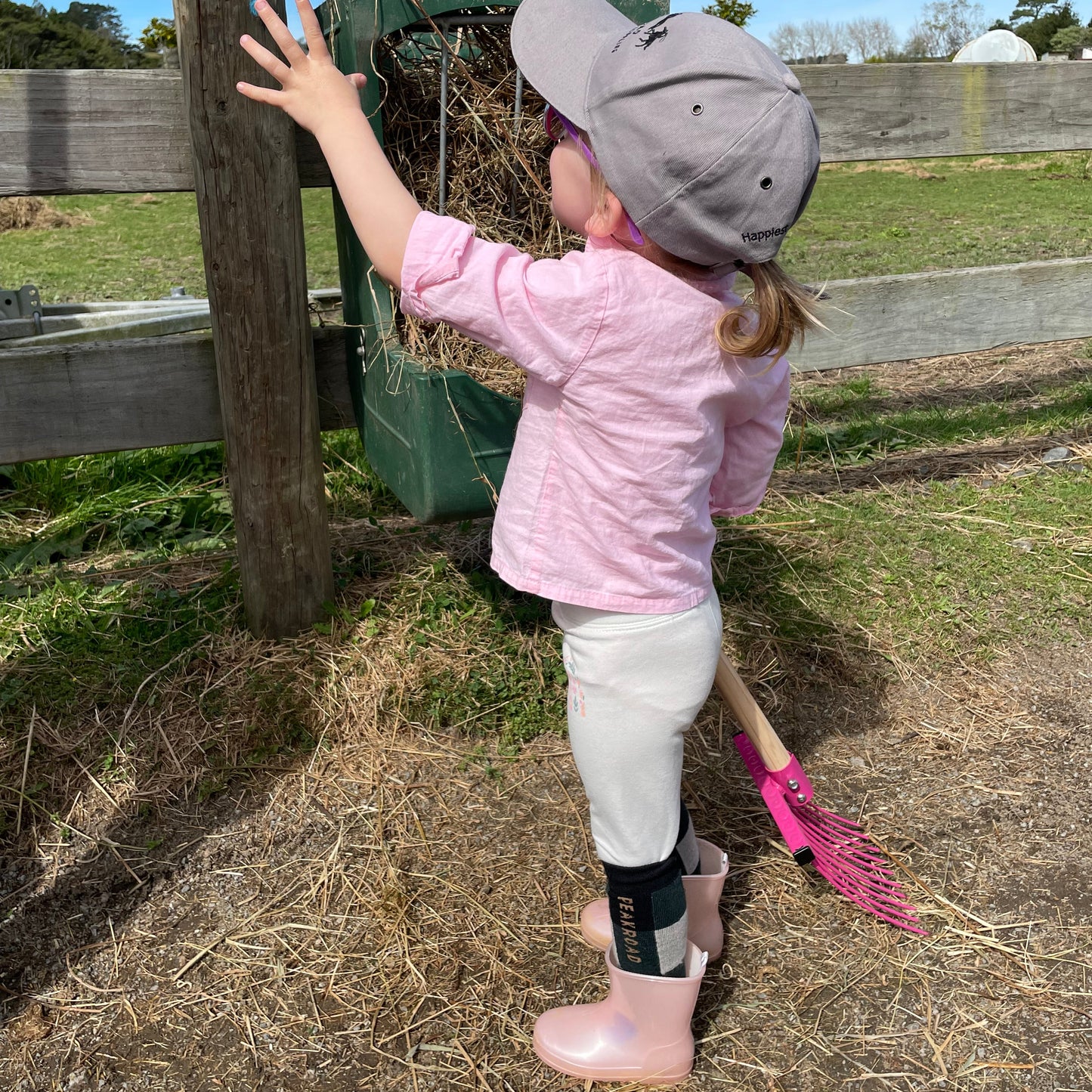 Peak Road NZ Made Merino Riding Socks - Kids
