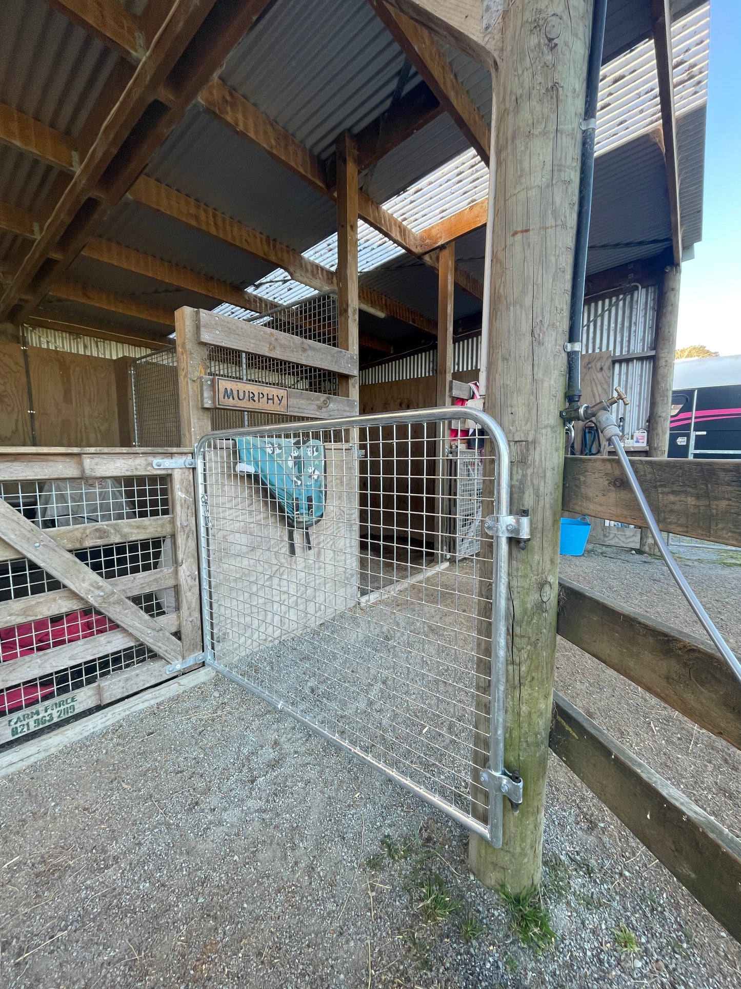 Welded Mesh Equine Gates (Pick-up or Delivery)