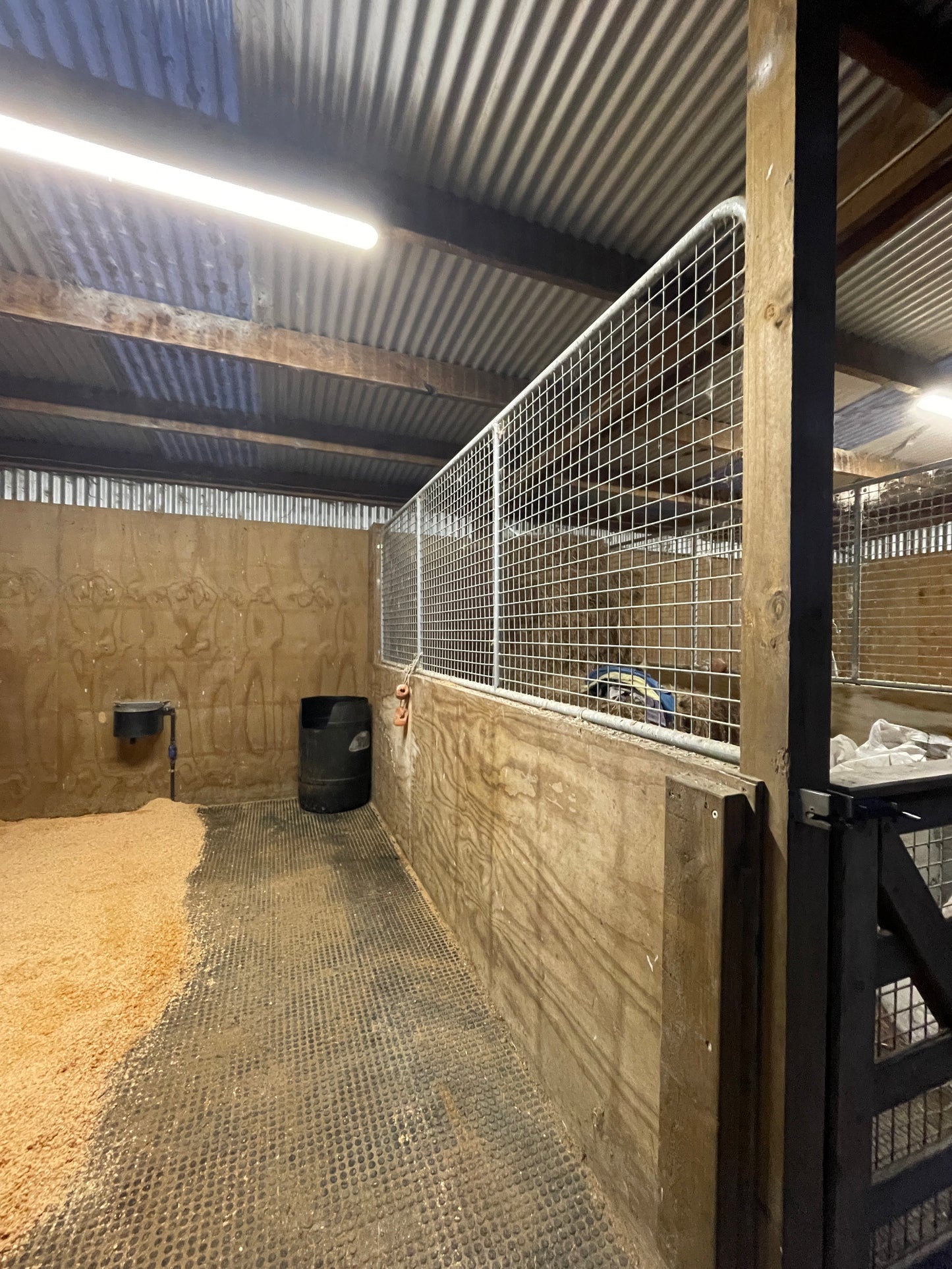 Welded Mesh Equine Gates (Pick-up or Delivery)