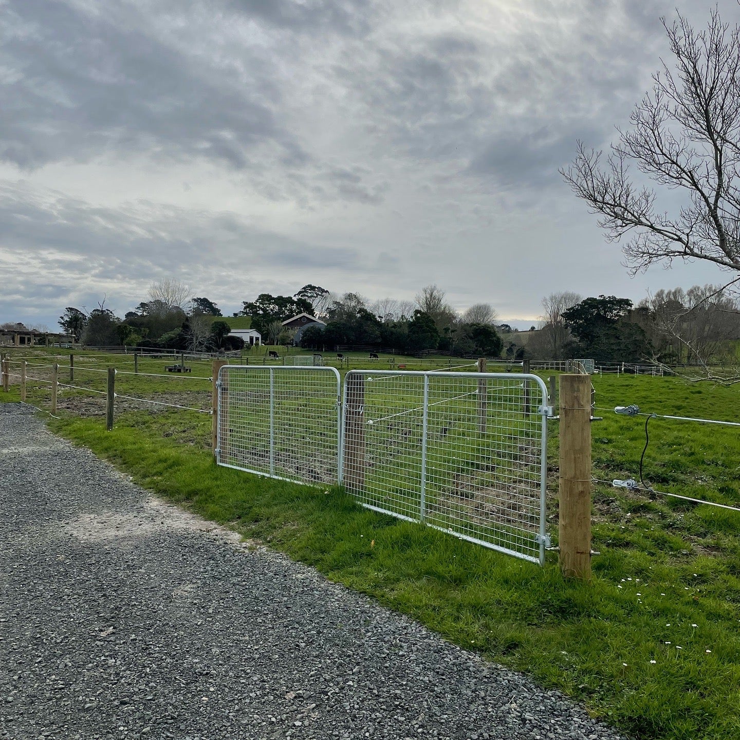 Welded Mesh Equine Gates (Pick-up or Delivery to Depot)