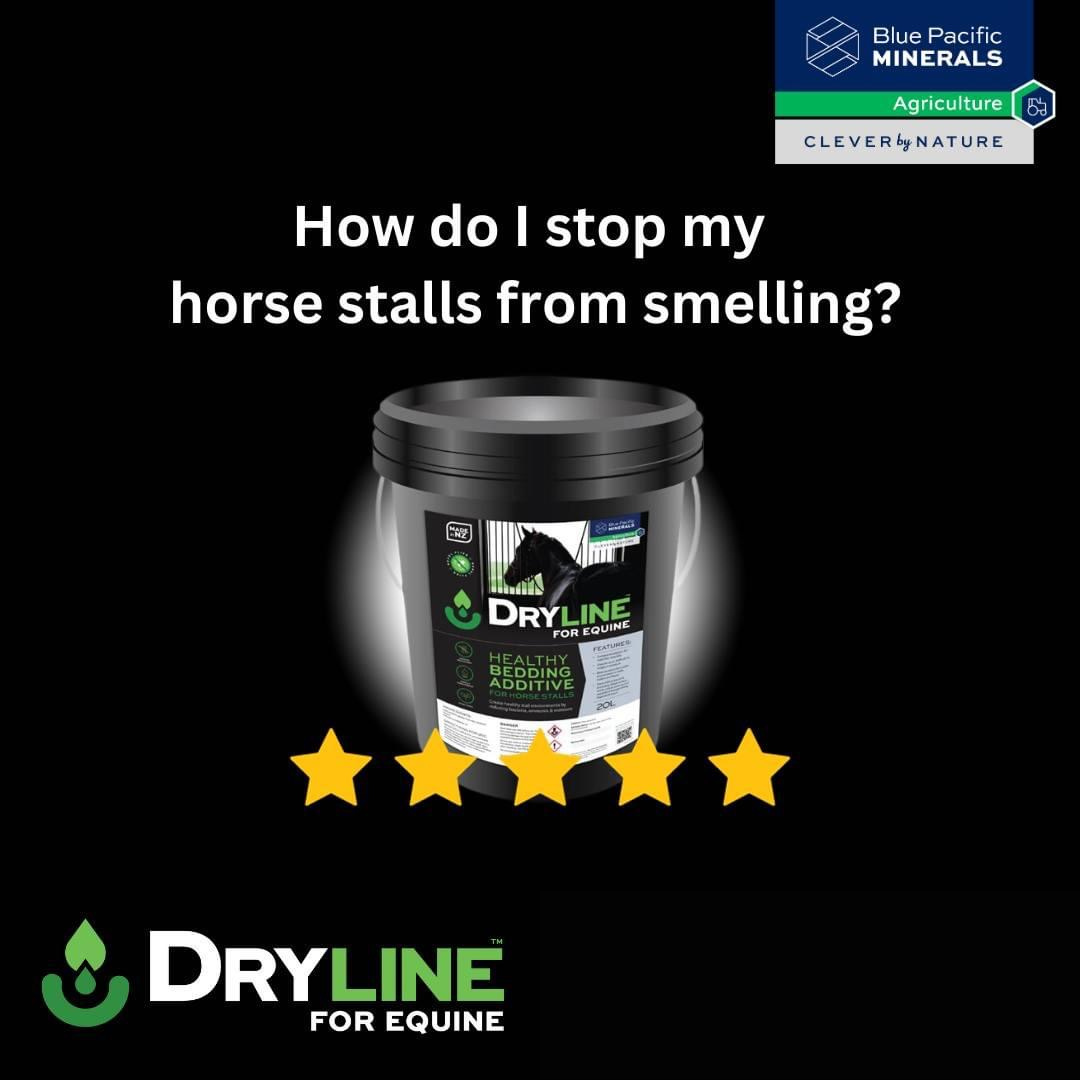 Dryline for Equine