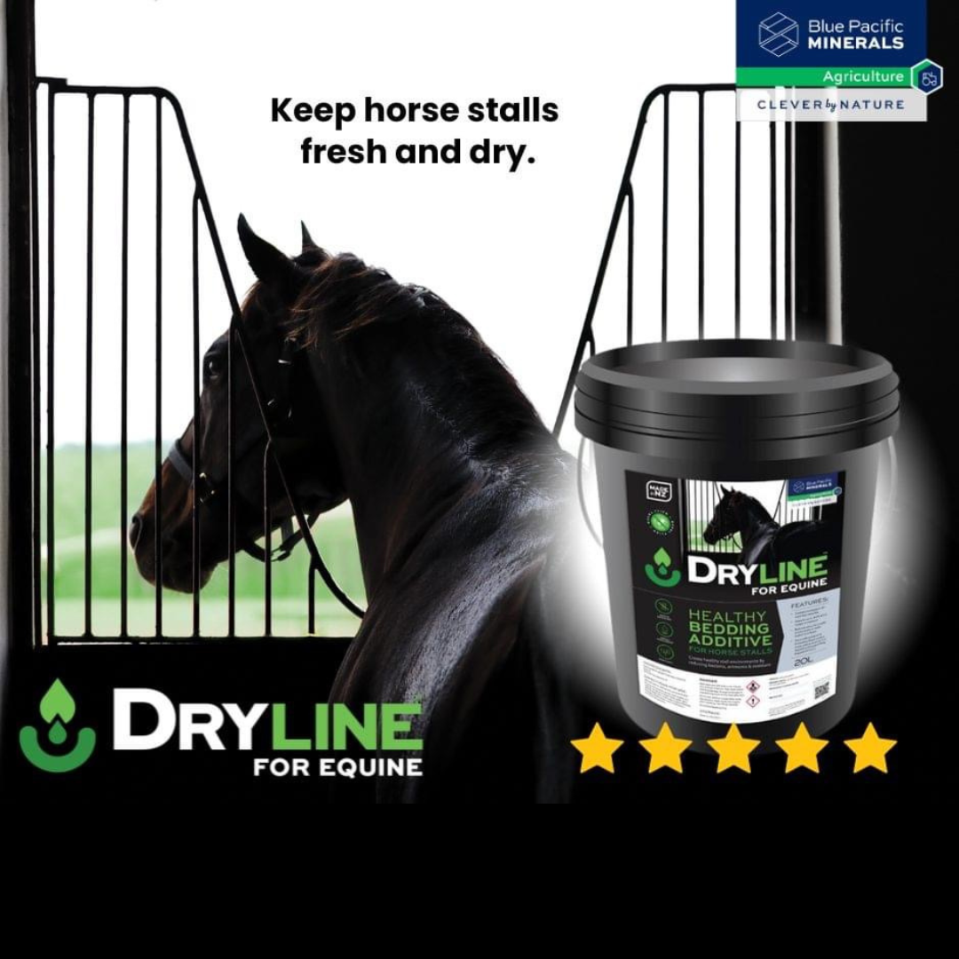 Dryline for Equine