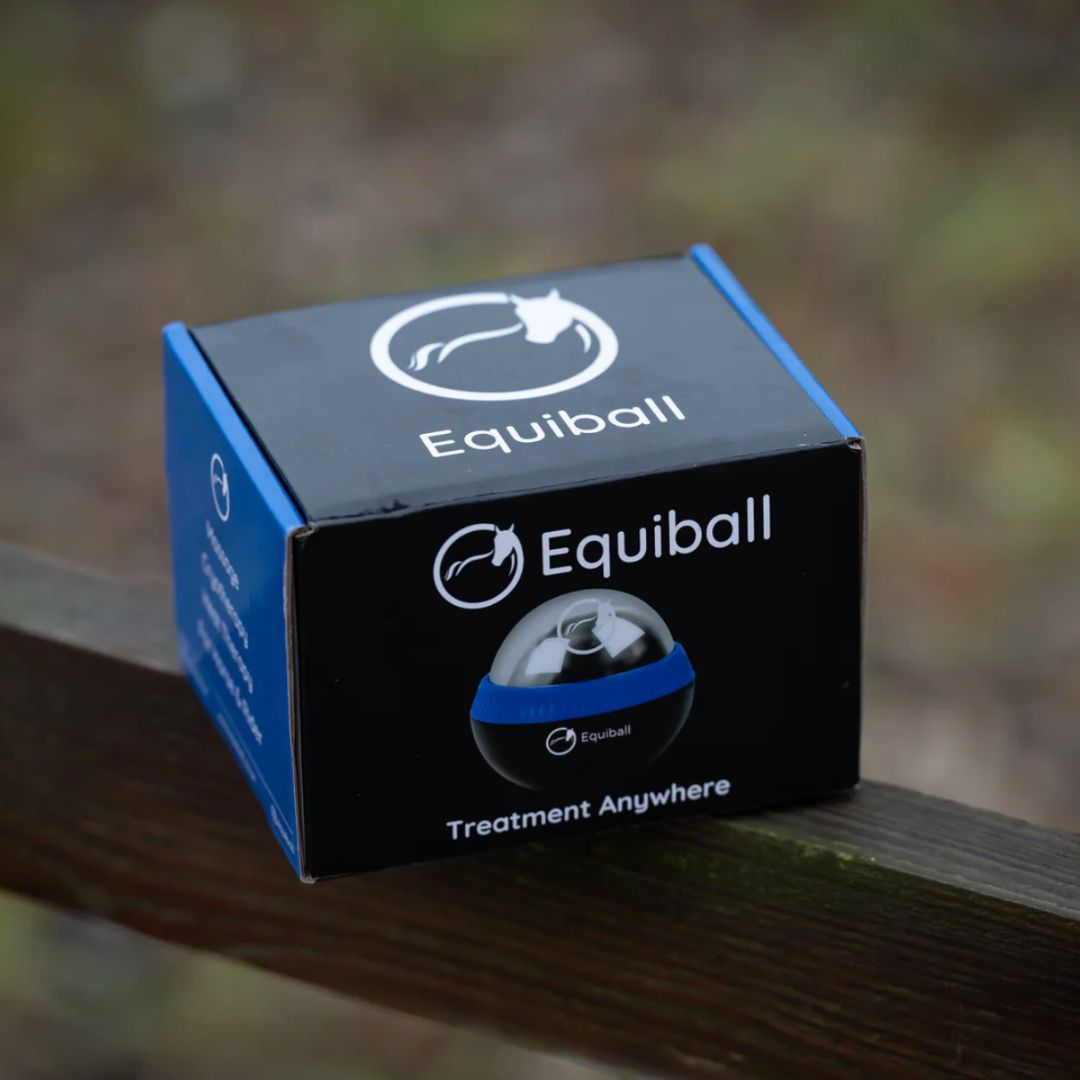 Equiball - 3 in 1 Equine Massage Tool