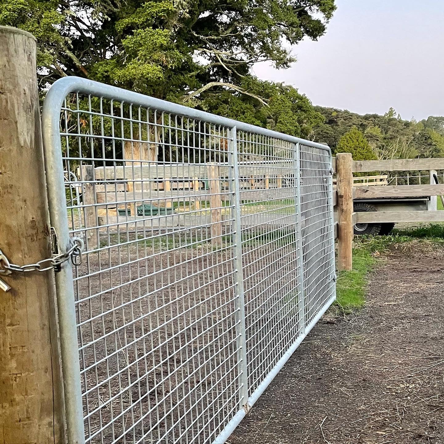 Welded Mesh Equine Gates (Pick-up or Delivery)