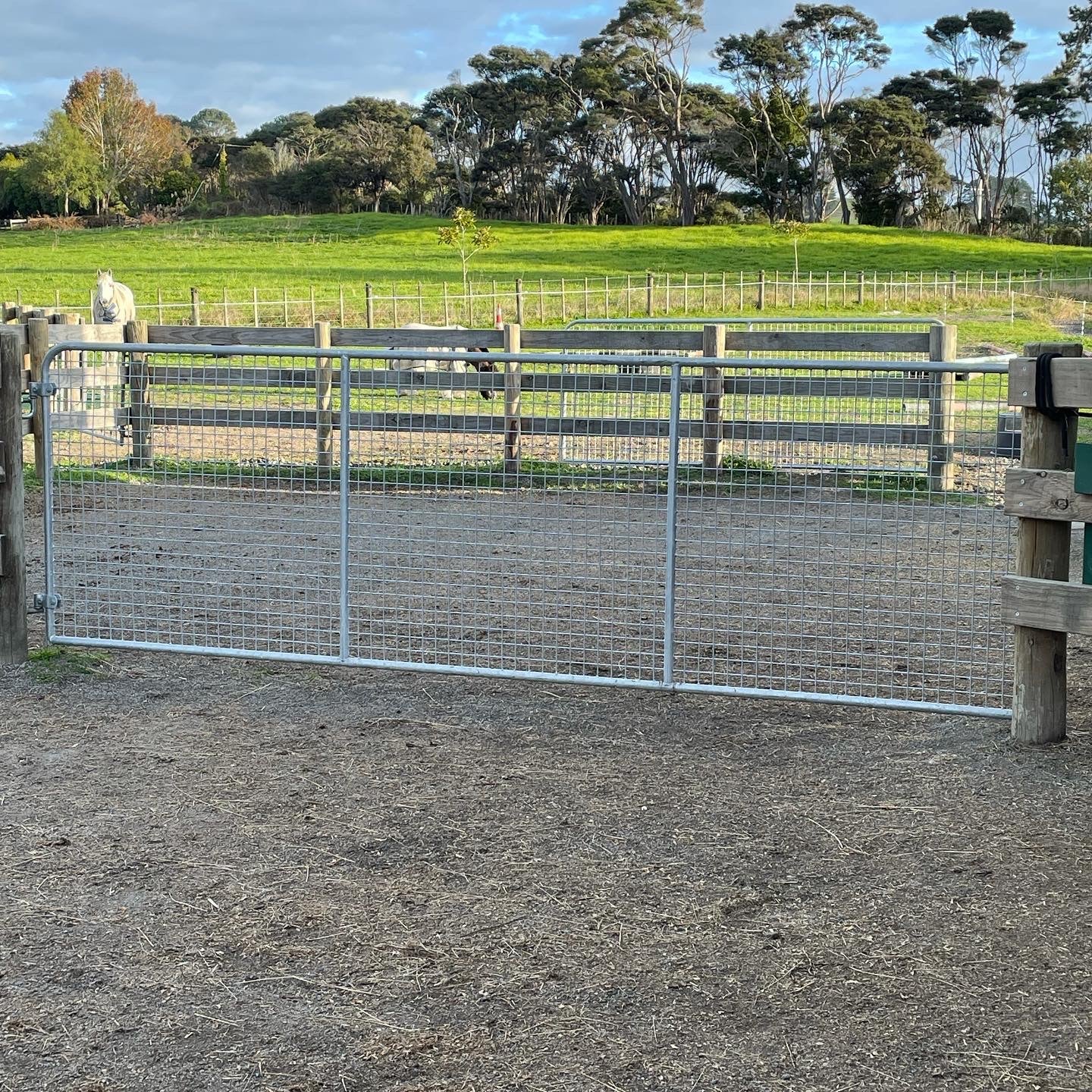 Welded Mesh Equine Gates (Pick-up or Delivery)