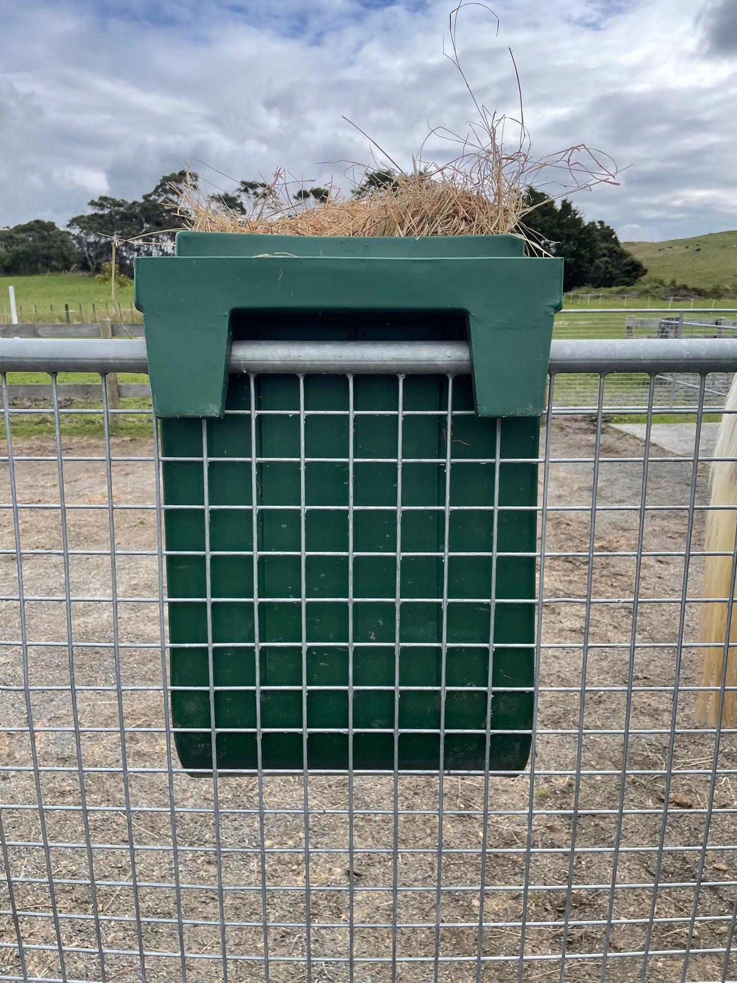 Fence Mounted Hay Feeder - Mini