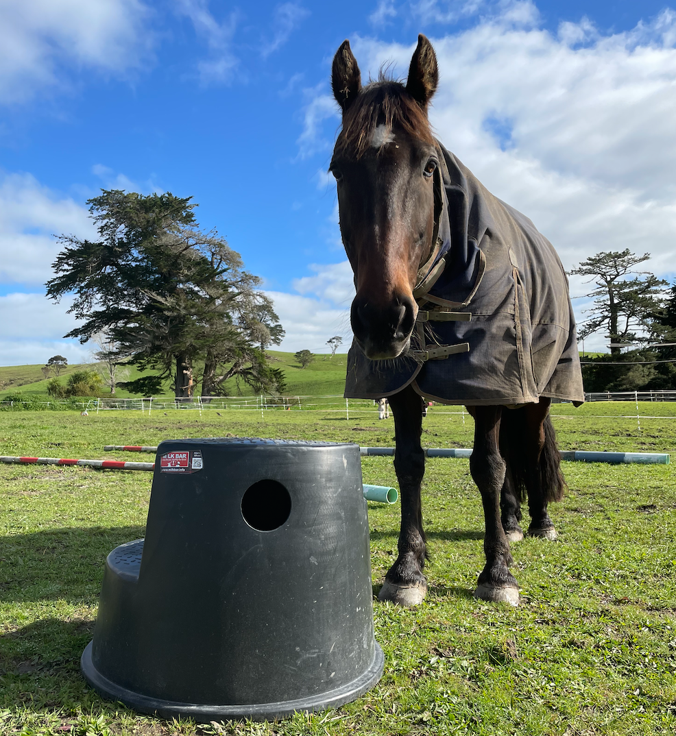 Mount Ease Mounting Block (Pick-up Only)