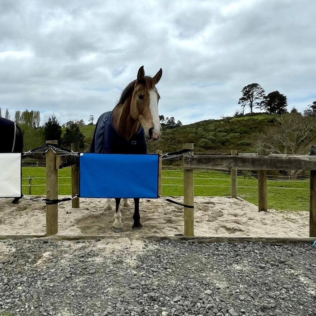 Personalised Yard Guards