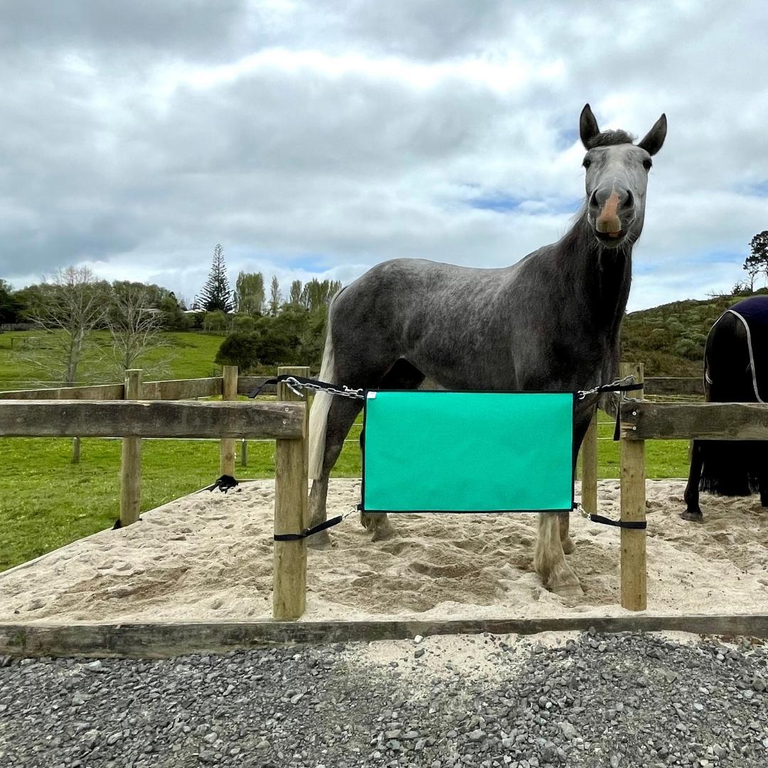 Personalised Yard Guards