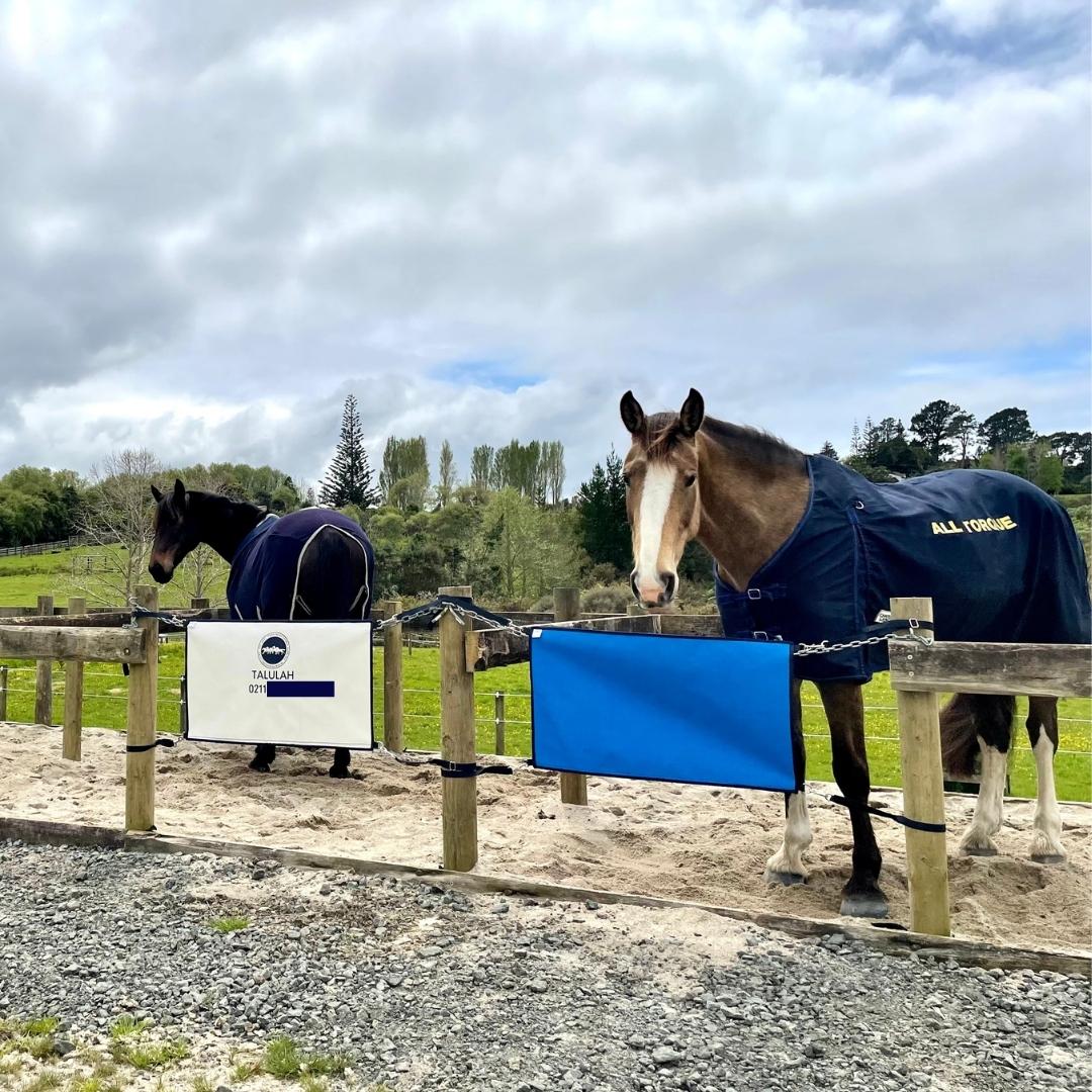 Personalised Yard Guards