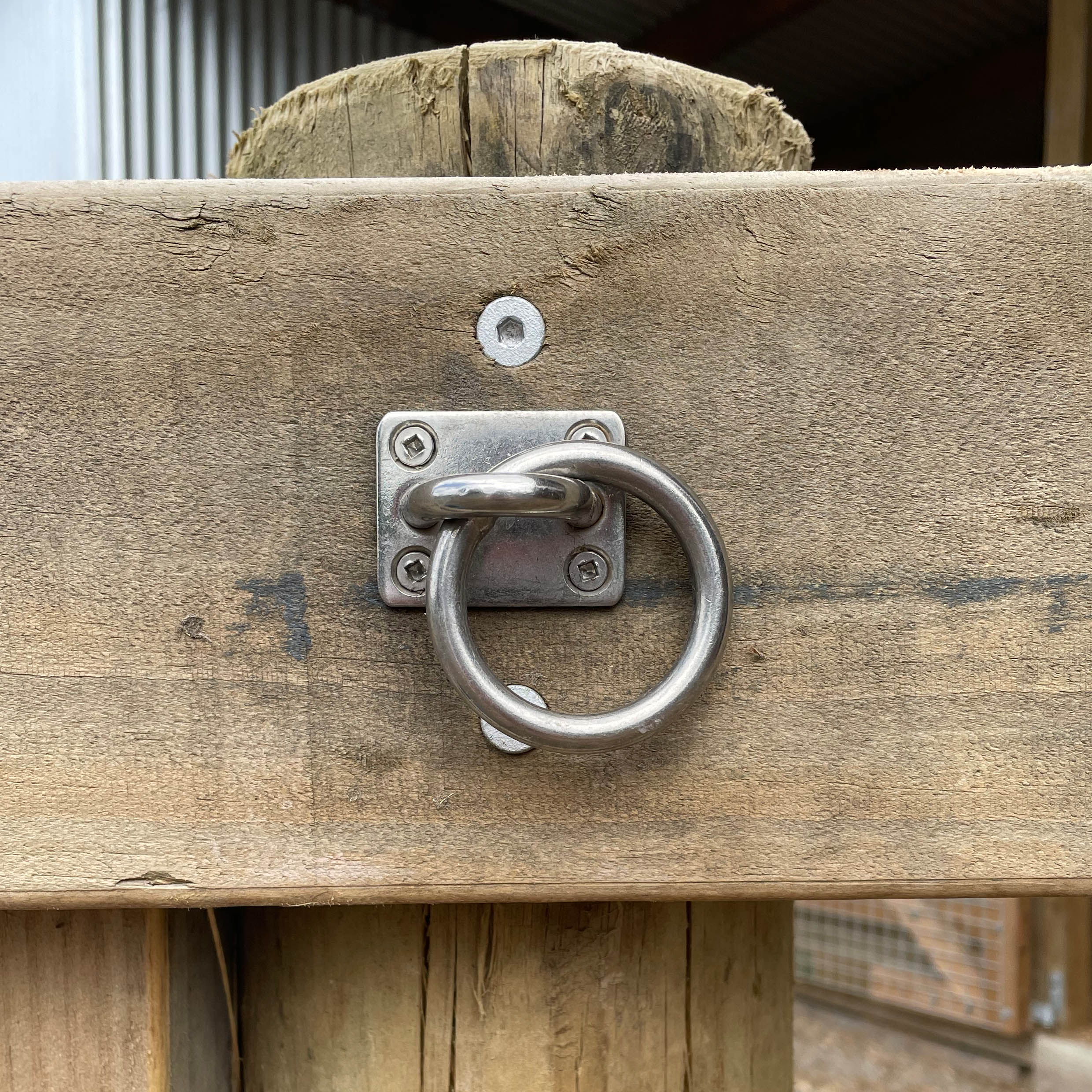 Tie-up Ring (Stainless Steel) – PEAK ROAD